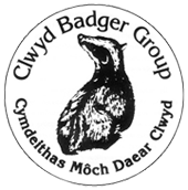 Clwyd Badger Group